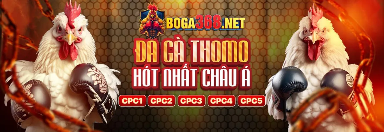 Sòng bạc trực tuyến MD88 sang trọng và hiện đại