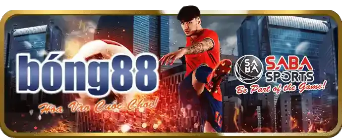 Chương Trình Hoàn Trả md88
